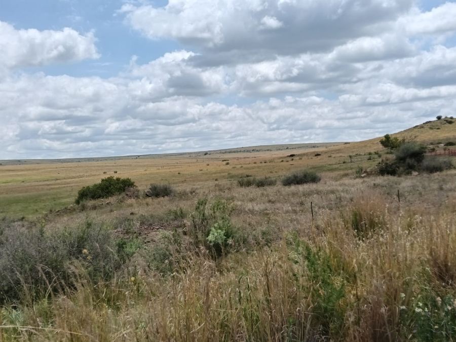 0 Bedroom Property for Sale in Lindley Rural Free State